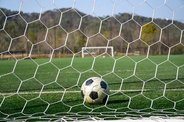 到了新高潮 到了新高潮