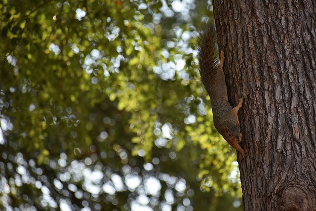 为球队带来 为球队带来