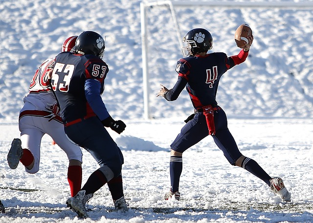 貝巴：霍伊倫信心倍增！梅努或加入三獅隊！.