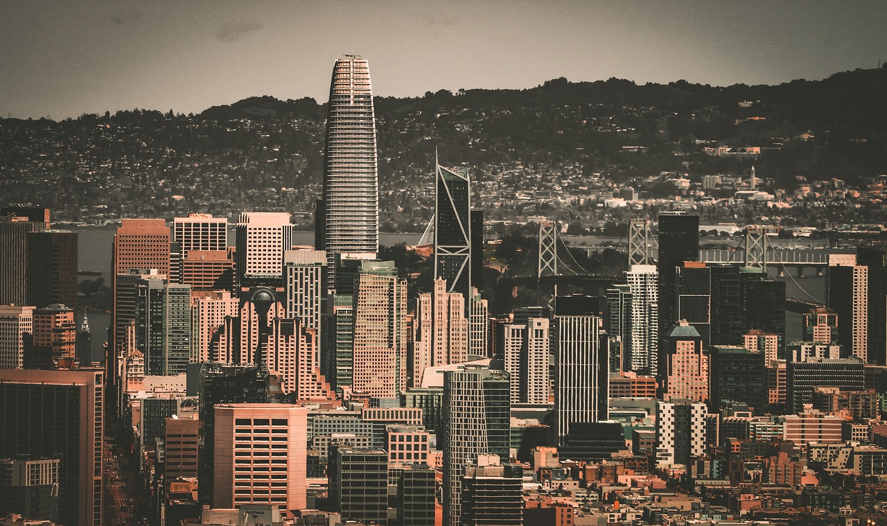 津门虎在多 津门虎在多