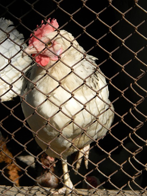 具有重要意 具有重要意